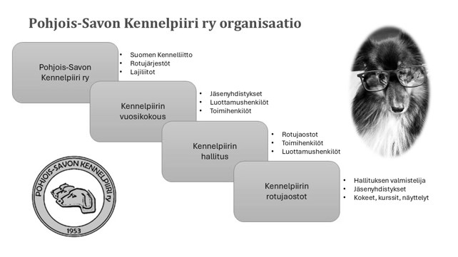 organisaatiokuva